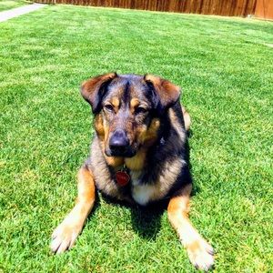 Meet your Posher, Liz